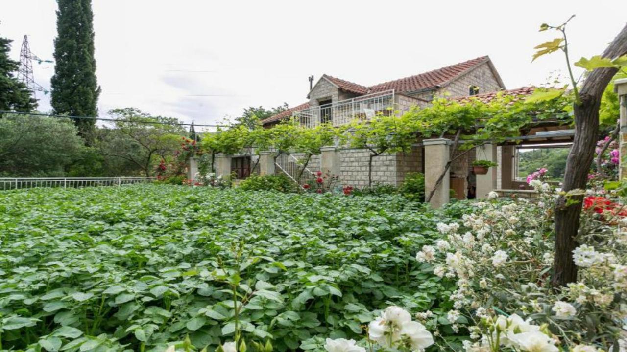 Klepo Apartment